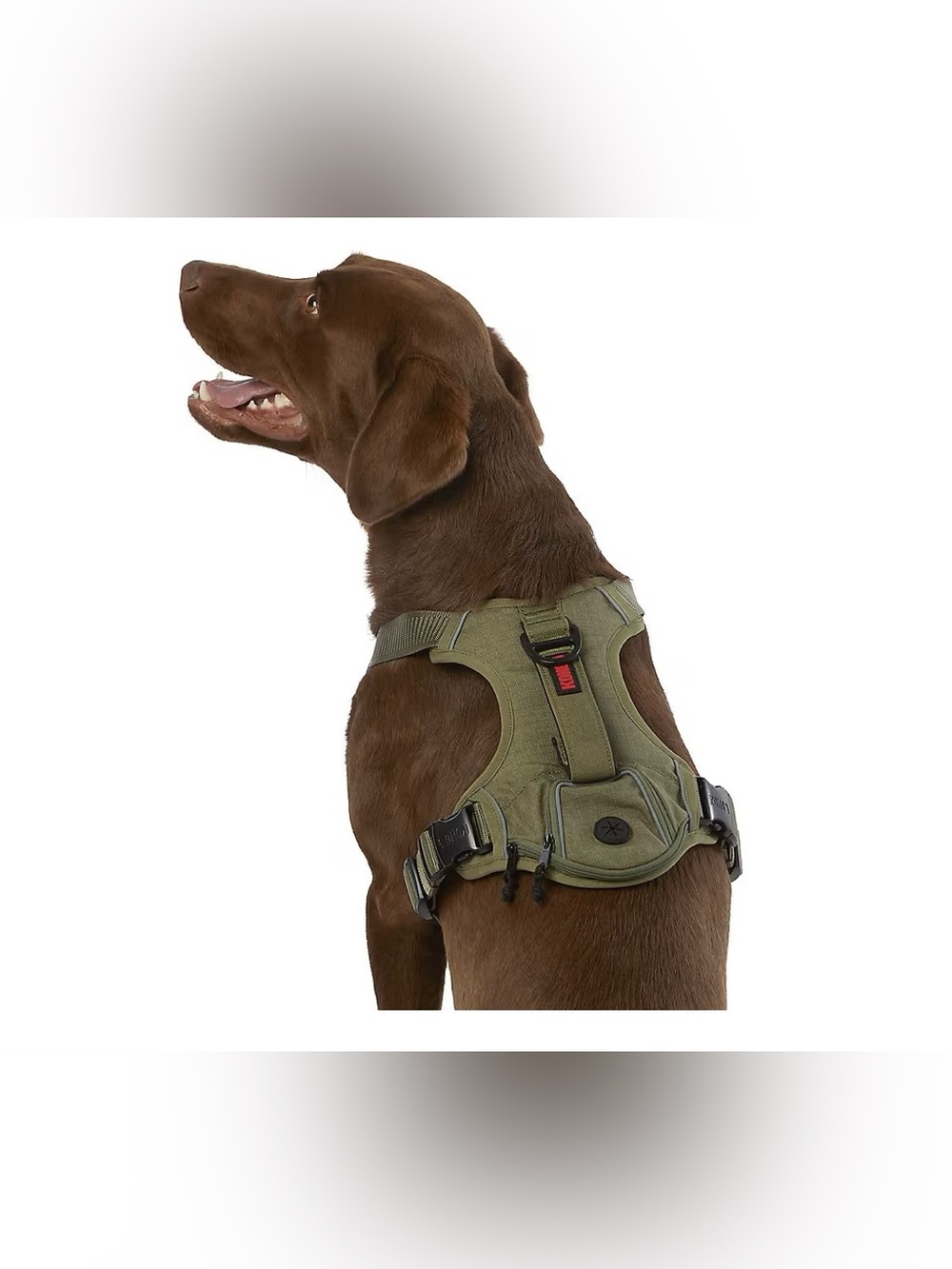 Dog Harness (M)